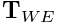 {\bf T}_{WE}