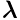 \boldsymbol{\lambda}