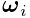 \boldsymbol{\omega}_{i}