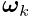 \boldsymbol{\omega}_{k}