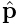 \hat{\bf p}