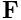 {\bf F}