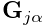 {\bf G}_{j\alpha}