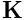 {\bf K}