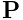 {\bf P}