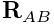 {\bf R}_{AB}