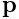 {\bf p}
