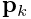 {\bf p}_{k}