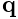{\bf q}
