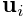 {\bf u}_{i}