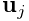 {\bf u}_{j}