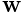 {\bf w}