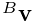 {}^{B}{\bf v}