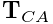 \displaystyle{\bf T}_{CA}