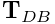 \displaystyle{\bf T}_{DB}