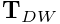 \displaystyle{\bf T}_{DW}