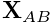 {\bf X}_{AB}