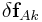 \displaystyle\delta{\bf f}_{{Ak}}