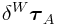 \displaystyle\delta{}^{W}\boldsymbol{\tau}_{A}