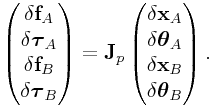 \left(\begin{matrix}\delta{\bf f}_{A}\\
\delta\boldsymbol{\tau}_{A}\\
\delta{\bf f}_{B}\\
\delta\boldsymbol{\tau}_{B}\end{matrix}\right)={\bf J}_{{p}}\left(\begin{matrix}\delta{\bf x}_{A}\\
\delta\boldsymbol{\theta}_{A}\\
\delta{\bf x}_{B}\\
\delta\boldsymbol{\theta}_{B}\end{matrix}\right).