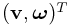 ({\bf v},\boldsymbol{\omega})^{T}