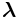 \boldsymbol{\lambda}