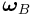 \boldsymbol{\omega}_{B}