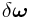 \delta\boldsymbol{\omega}