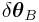 \delta\boldsymbol{\theta}_{B}