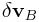 \delta{\bf v}_{B}