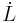 \dot{L}
