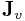 {\bf J}_{v}