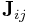 {\bf J}_{{ij}}