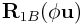 {\bf R}_{{1B}}(\phi{\bf u})