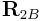 {\bf R}_{{2B}}