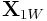 {\bf X}_{{1W}}