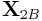{\bf X}_{{2B}}