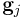 {\bf g}_{j}