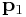 {\bf p}_{1}