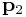 {\bf p}_{2}