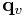 {\bf q}_{v}