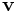 {\bf v}