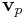 {\bf v}_{p}