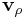 {\bf v}_{{\rho}}