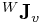 {}^{W}{\bf J}_{v}