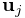 {\bf x}_{j}